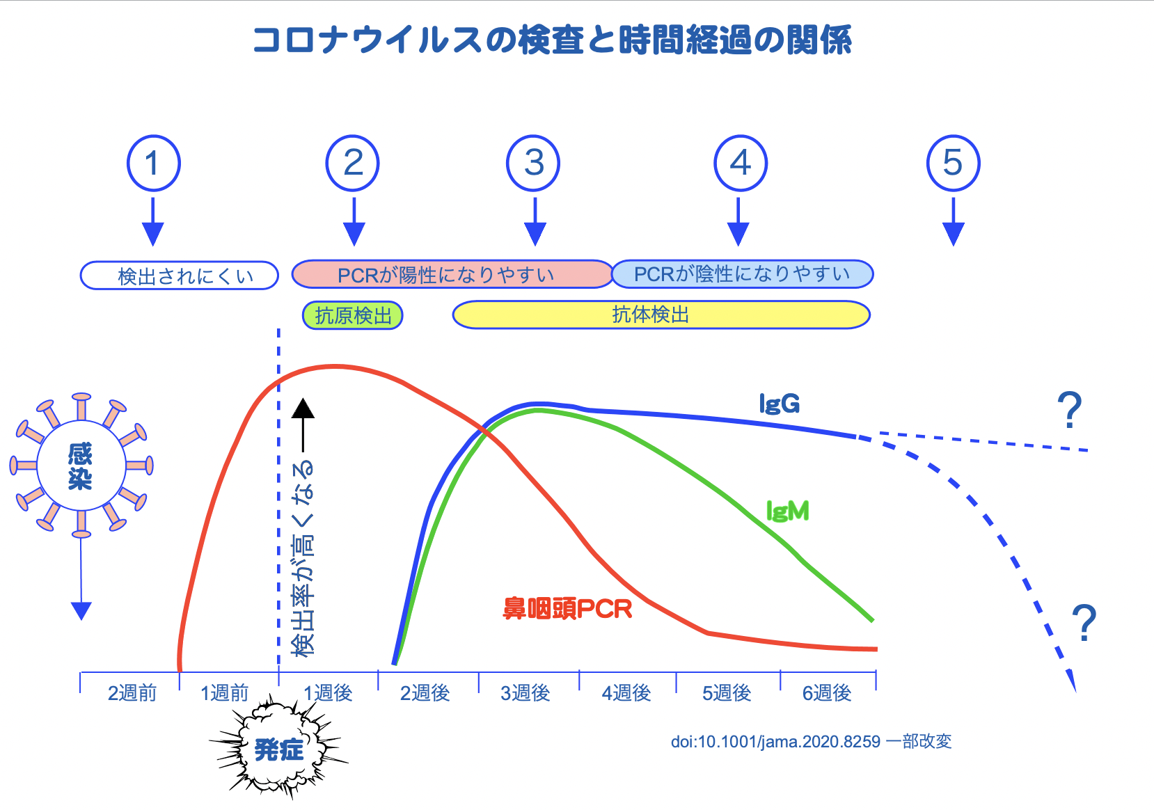 コロナグラフ