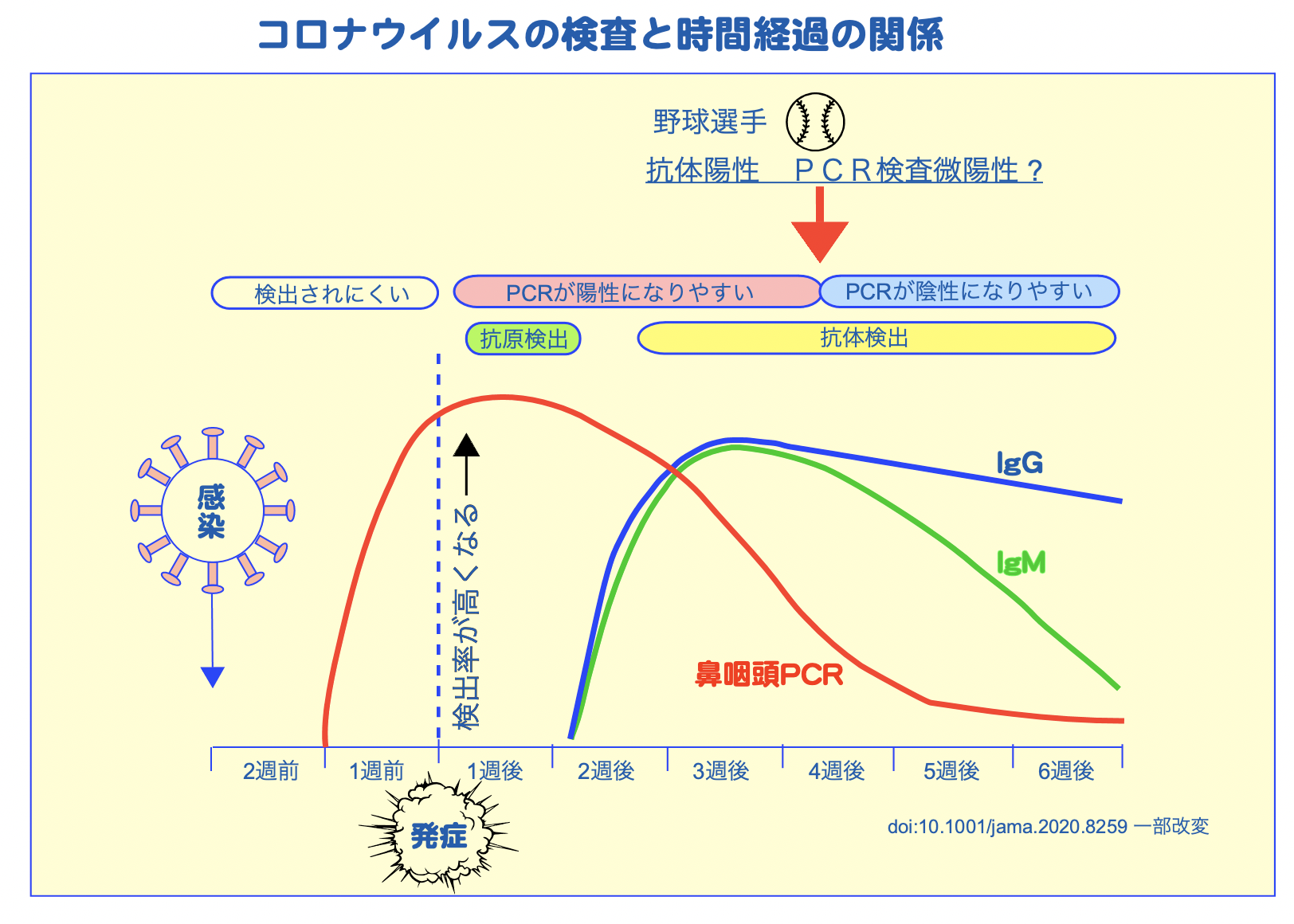 コロナ検査