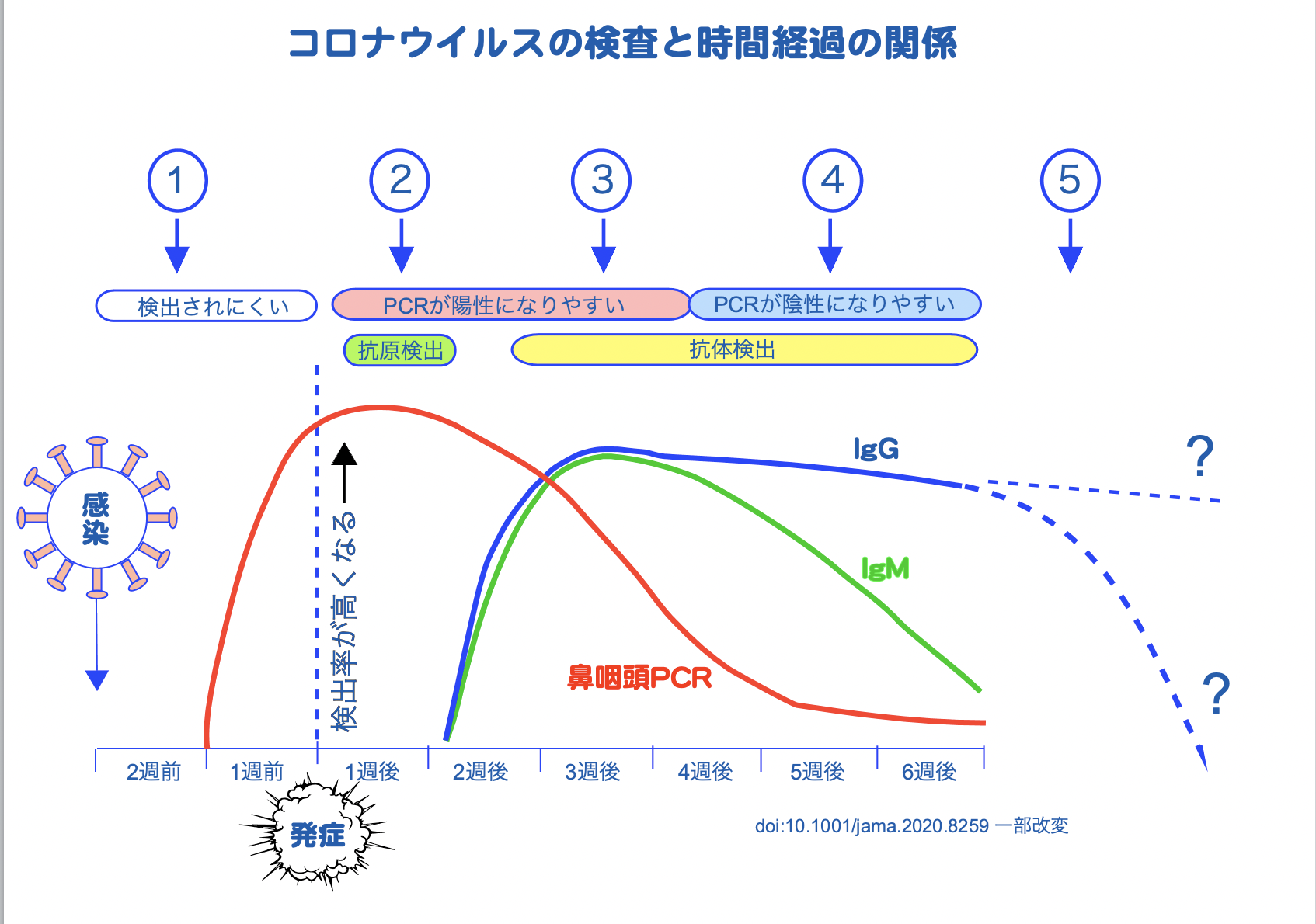 コロナ検査